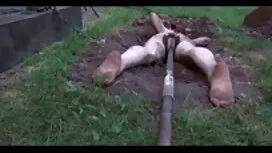 Vụng về to mông rất  ...