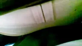 Niềm vui cổ điển thu ...