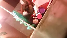- chủ sở hữu chứng m ...