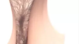 Phat porn xet Ass Ho ...