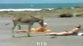 Gầy tuổi teen porn t ...