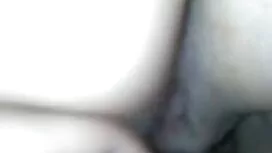 Rocco cho squirter g ...