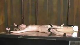 Kelsi Monroe giữa cá ...